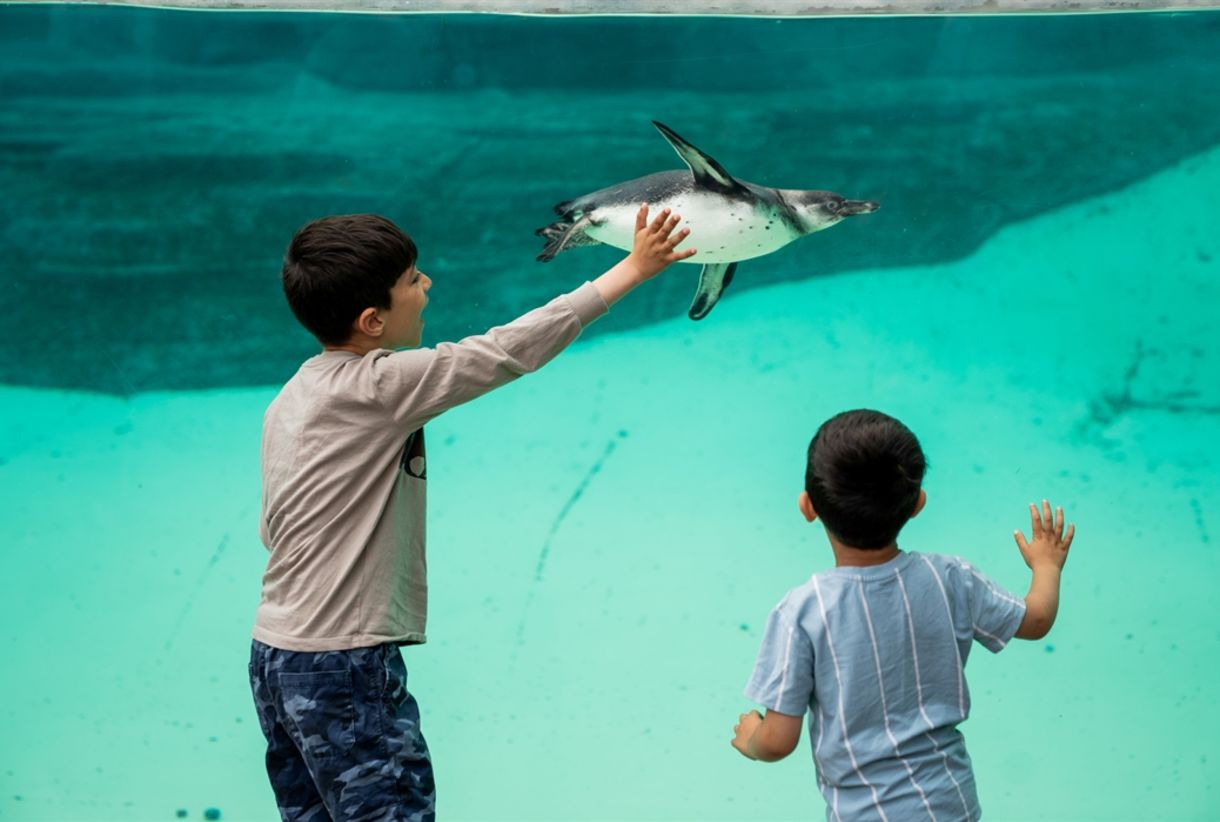 Government Announces VAT Cuts for Some Visitor Attractions This Summer