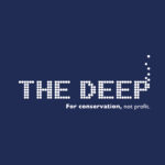 The Deep